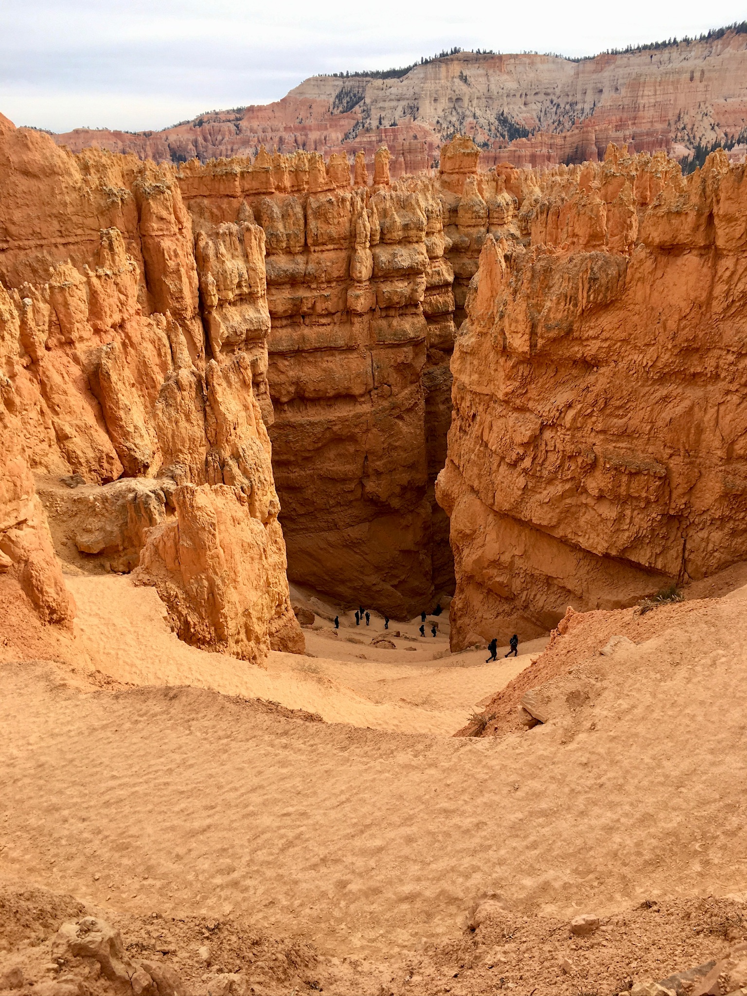 Mighty V Passage